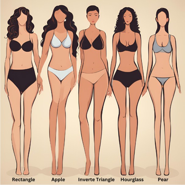 Different type of female body shapes.