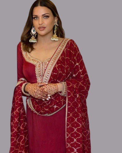 Chic Anarkali Suit (4)