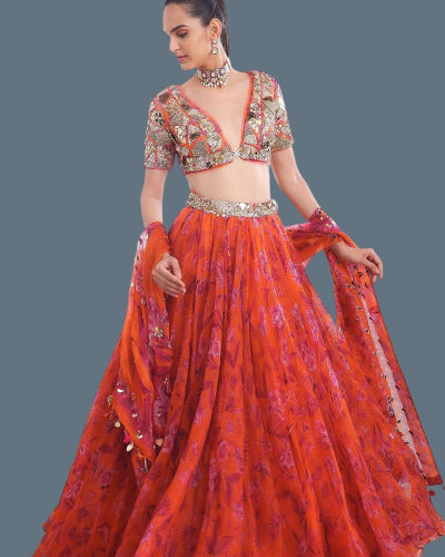 Mirror Work Lehenga (2)