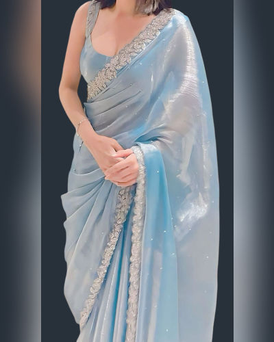 Organza Saree (3)