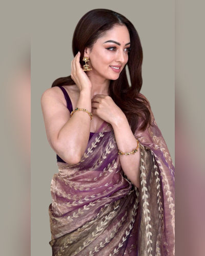 Organza Saree (4)