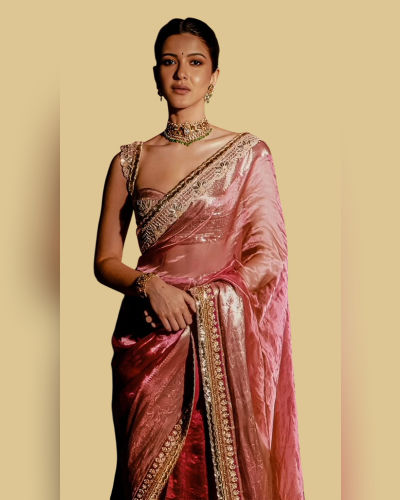 Organza Saree (5)
