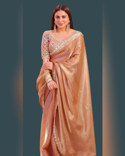 Organza Saree (6)